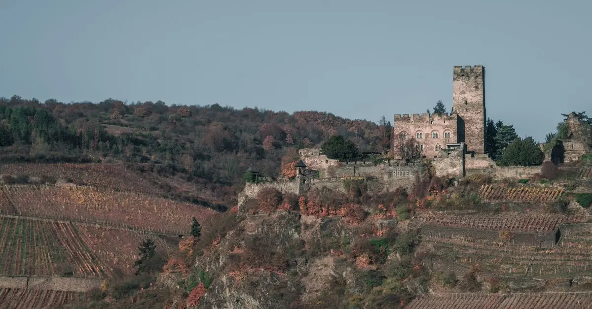 Zoom sur le Lieu de Cérémonie de Rêve : Château ou Vignoble