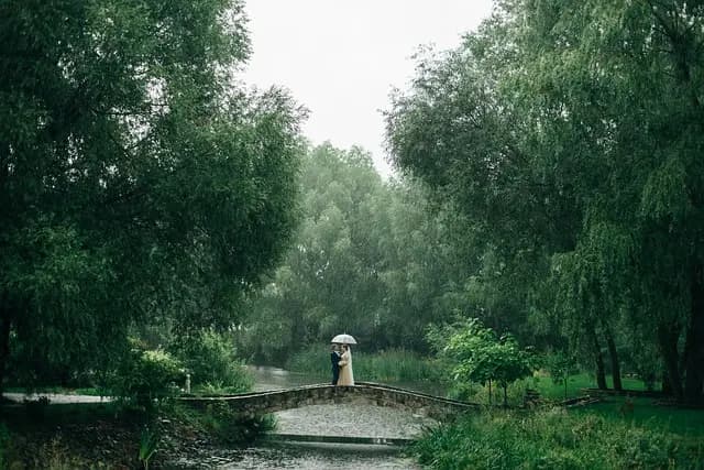 Les Meilleures Idées de Rituels Émotionnels pour Élever Votre Mariage