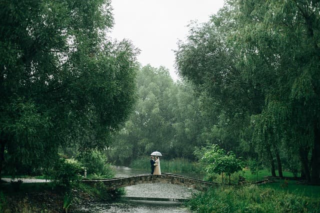 Les Rituels de Mariage Émotionnels à Découvrir